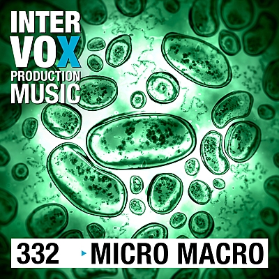 Micro Macro