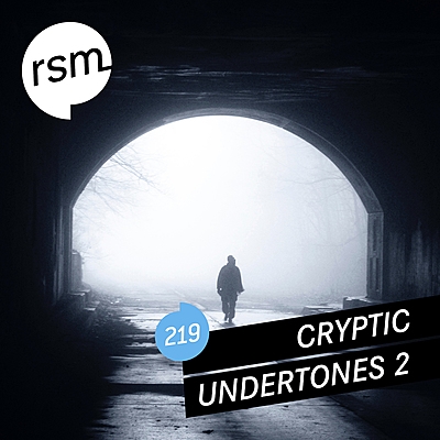 Cryptic Undertones 2