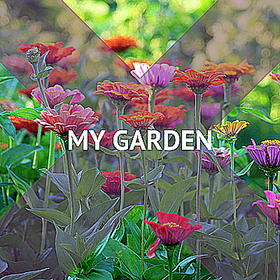 Moje zahrada
