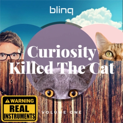 Curiosity Killed The Cat